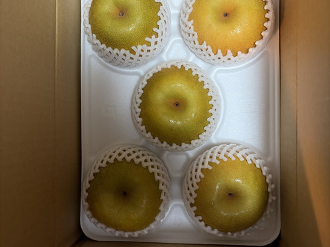甘熟。PREMIUM幸水梨】贈答用約3kg( 5~7個) シャリっ。ジュワっ