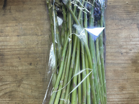 訳あり品】アスパラ 500g 北海道産 【訳あり品】：北海道産の