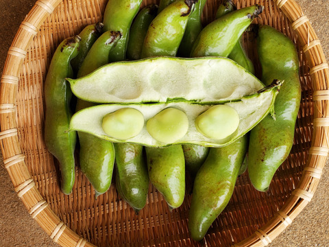 島育ちの元気なそら豆! さや付２kg