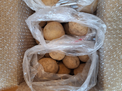 新じゃが✨R8年産‼️完熟じゃがいも🥔【濃い味とうや】☆5kg☆：北海道