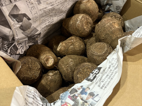 ⚠️数量限定⚠️『黒いダイヤ』高級料亭で出される里芋の味をご家庭で！生産量トップクラスの所沢から送る絶品里芋！※芽なしという訳ありですが、農家のみぞ知る絶品です。5kg（約30〜40個入り）