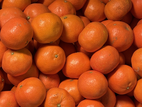 濃厚クレメンティンジュース(2本)