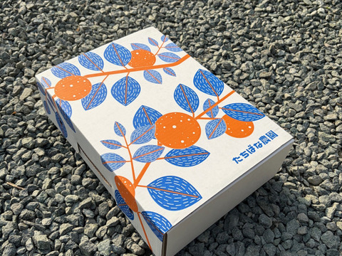 完熟★不知火　愛媛県産　贈答用３キロ