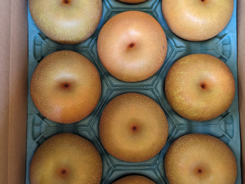 幸水呉羽梨玉数お任せ家庭用