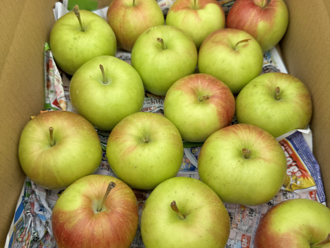 【希少品種】 夏緑(りんご) 18個入り　約3キロ