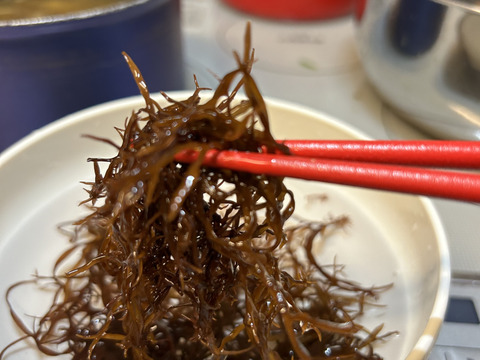 天然1等品！水で戻しそのまま食べれるコリコリと美味しい『新芽ふのり』50g