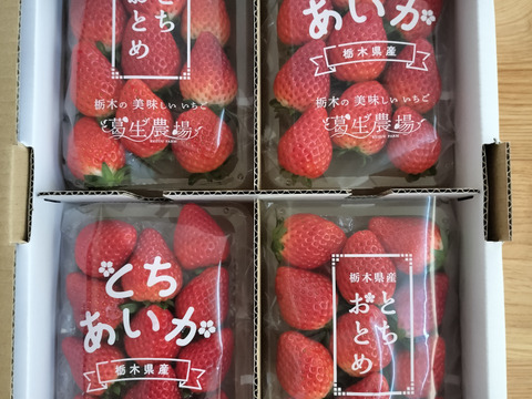 【新旧対決？】とちぎのいちご『とちあいか』・『とちおとめ』2種食べ比べセット（4パック）（260ｇ×4パック）【いちご食べ比べ】「熨斗対応可」