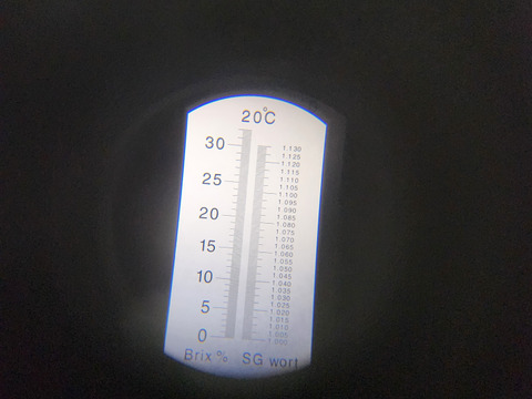 【冬ギフト】【お歳暮、お年賀、家族団らんにも】(指定日無し)【ななか】400g2パック  高級ホテルザ・リッツ・カールトン東京で使用いちご糖度40度くらいを4度計測しました