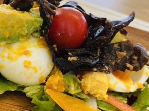 ≪オーガニック≫【業務用】国産生きくらげ（黒）（300ｇ×3袋）+100ｇおまけ付