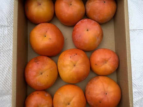 あま～い和歌山晩秋の味　富有柿　家庭用　80サイズ（小箱）　10~15個入り