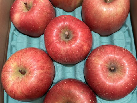 令和7年度産早期予約セール7%OFF大玉から順に発送‼️🍎青森県産