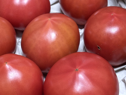 クロネコさんでのお届け希望の方「王様トマト」約１.８ｋｇ箱・品種名：「ごほうび」