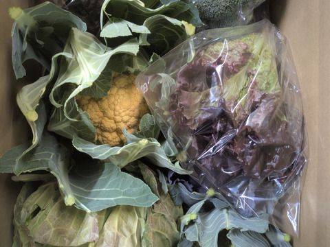 ❄☃️５品冬の野菜セット☃️❄