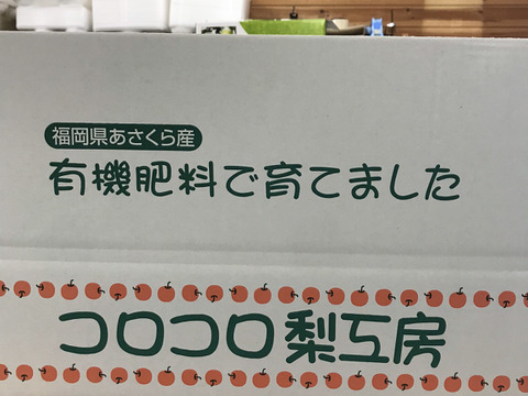 糖度ピークです‼️【ほぼほぼ果汁です💦】豊水梨贈答用5kg(14-16個)甘い‼️甘くてジューシーまるで梨ジュース🥤ひとつひとつ色付きを確かめて収穫😋完熟なのでキメが細かく味が濃い‼️