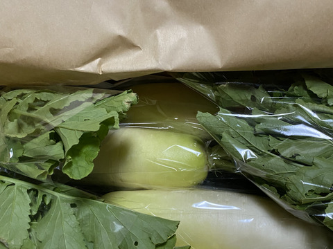 【栽培期間中農薬不使用】甘味が増した青首大根4kg以上（4～５本）