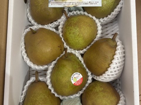 【訳あり、家庭用】ラフランス  サイズ混合　２キロ(6〜10玉)