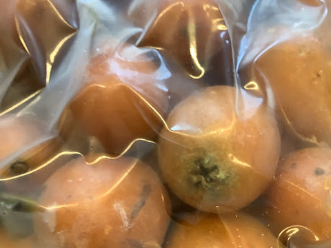 訳あり特価！【まるごと冷凍 加工用びわ約2㎏】栽培期間中 農薬不使用！