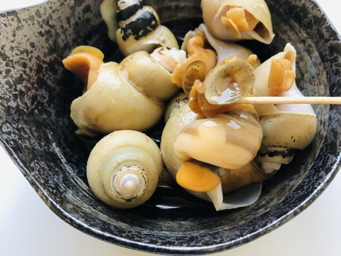 バイ貝の旨煮 ツバイ 山形県産 食べチョク 農家 漁師の産直ネット通販 旬の食材を生産者直送 バイ貝の旨煮 ツバイ 山形県産 食べチョク 農家 漁師の産直ネット通販 旬の食材を生産者直送