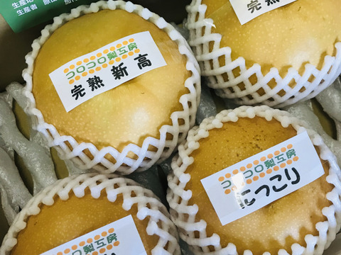 【旬の梨食べ比べ‼️2品種】何が届くかお楽しみ😋贈答用約2.2kg✨️豊水・あきづき・かおり・あきあかり・二十世紀・南水・にっこり・新高・王秋・新興・愛宕の中から2品種詰め合わせ‼️