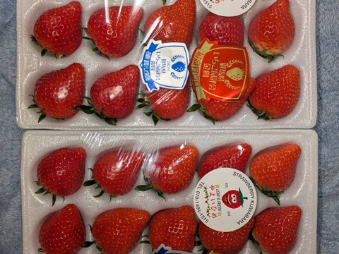 ⭐︎土耕栽培【最高金賞受賞含む全賞受賞】やよいひめ贈答用ダブル（約400g×2）