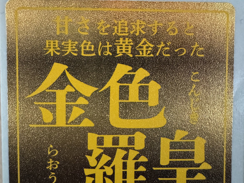 【雅】糖度13-17以上【金色羅皇】『大里果樹園のスイカ』2Ｌ-3Ｌ