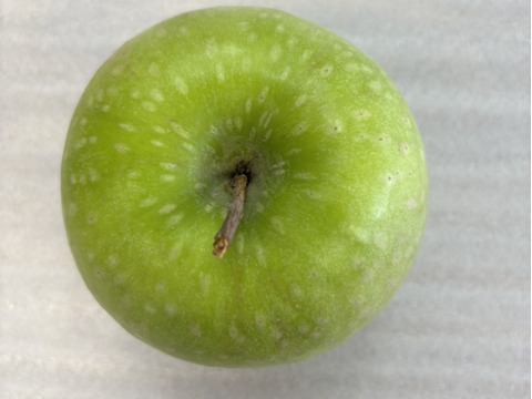 甘くない贅沢！これぞグラニースミス10㎏（25～40玉）