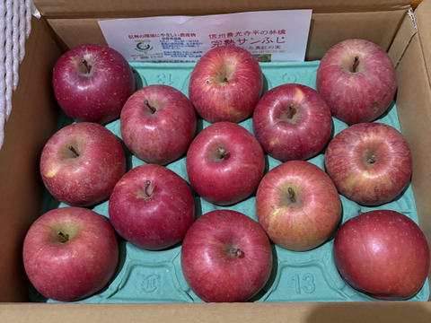 コレハお得だ！！完熟サンふじ　かわいいサイズ「小玉ちゃん」　丸かじりサイズ　お値下げ総決算価格！！　2.5キロコース（12個から13個入り）ご好評販売中