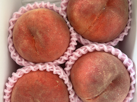 まるせい果樹園の桃　【さくら白桃】1㎏(4～6玉入り) ご贈答　自家用向け ms3