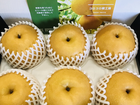 糖度ピークです‼️【大きさにも美味しさにもびっくり‼️】PREMIUM新高(5~6個)約3.5kg✨️コロコロ梨工房の自信作✨️樹上完熟、甘くてとってもフルーティー ✨️鮮度を保つ為クール便で発送🚚