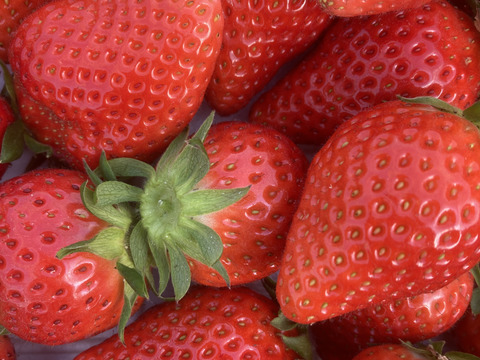 【食べ納め】お家でいちご狩り気分!じゅわっと甘い(^^)サイズいろいろ群馬のいちご【やよいひめ】1箱