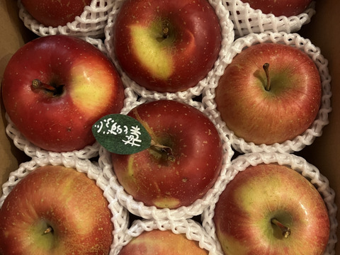 【冬ギフト】 🍎レビュー数1700件突破！！《家庭用》青森完熟葉とらずふじ８〜１２玉(約３kg)🍎ID119812