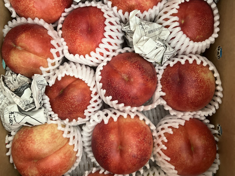ネクもも🍑ハネージュ🍑3キロ箱　訳あり家庭用
