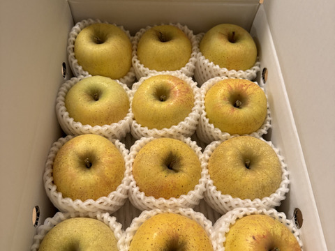 【りんご】幸せの黄色いりんご「はるか3ｋｇ」（フリーサイズ）