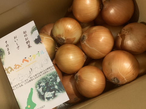 大地の恵み！淡路島完熟玉ねぎ🧅【シャーロットオニオン　輝玉（キラ玉✨）】(5Kg)