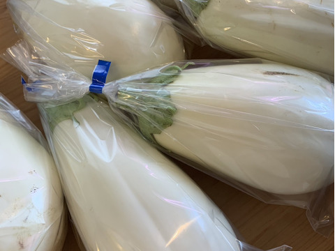 【人気沸騰中！】とろーり旨ナス　１ｋｇ（４個）