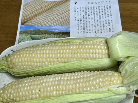 メロン級の甘さ！生でも食べれる！「幻のとうもろこし」　”ピュアホワイトSP”（５本）【予約販売　８月中旬～発送】