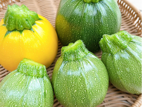 【かわいくて美味しい】京都産　丸ズッキーニ　1kgセット（緑・黄4〜6個）