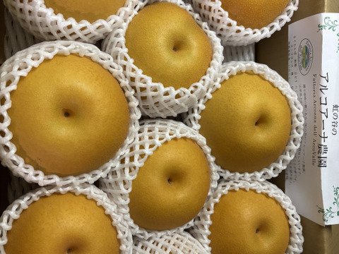 樹上完熟和梨「豊水」5kg★クール便★