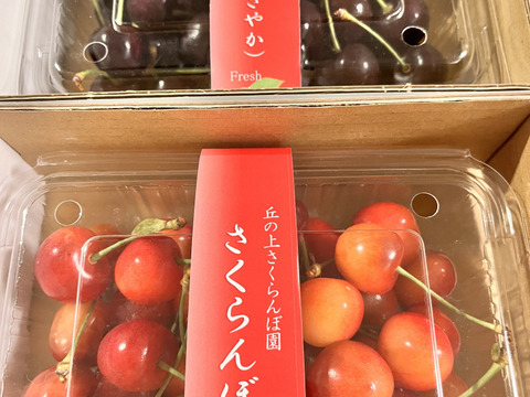 さくらんぼ食べ比べ🍒7品種から旬の2品種をお届け！佐藤錦や紅秀峰など品種はおまかせ🍒