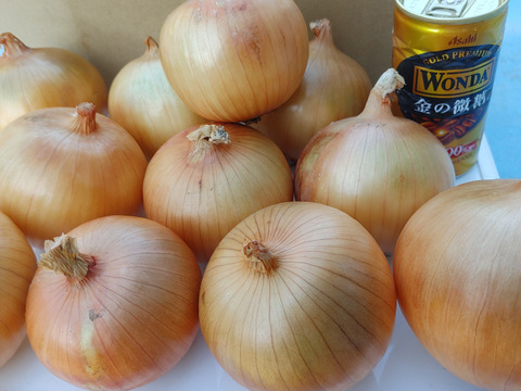 大好評，地層が違う淡路島玉ねぎ、訳ありアンサー(風袋込み5キロ)