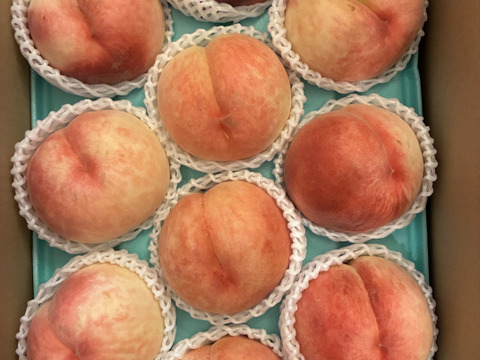 おどろくほど硬くて大きい「おどろき」桃　１００サイズ箱　優品（ご自宅用）