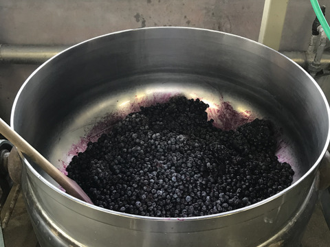 だいせんのめぐみブルーベリージャム　150ｇ×6個