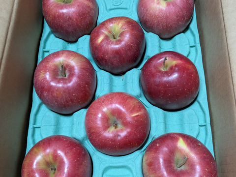 シナノスイート 柔らかな甘さが食べやすい 家庭用 2.5kg (6〜13個)