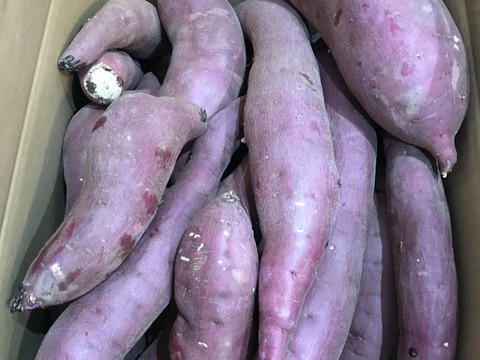 訳あり！熟成紅はるか 10kg さつまいも：茨城県産のべにはるか｜食べ 