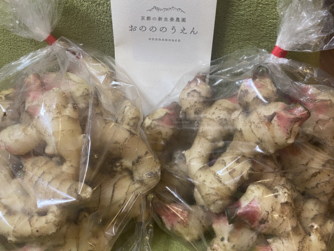 秋の味覚　京都府産　露地新生姜2kg　土付き