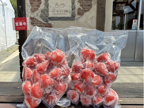 冷凍いちご 6kg(小分け真空パック500g×12袋)入りイチゴ農家 直送 冷凍いちご 6kg(小分け真空パック500g×12袋)入りイチゴ農家 直送