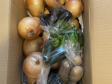 大好評，地層が違う淡路島、大玉、新玉ねぎ、七宝早生(風袋込み3キロ)