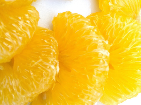 朝採りの食べ比べ☆完熟の「はるひ」と旬の「甘夏」＝3kg☆ 農薬・肥料・除草剤不使用