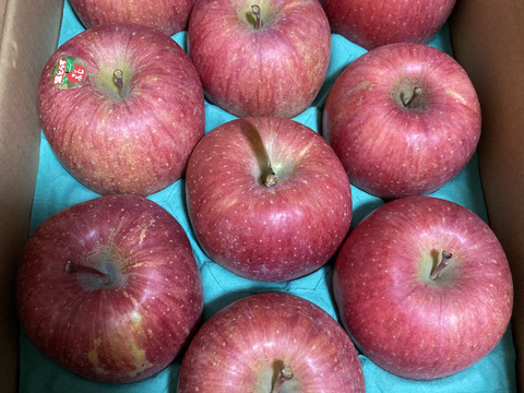 個性派りんご🍎葉隠れサンふじ  冬ギフトにもどうぞ（9個～12個）3キロ箱使用