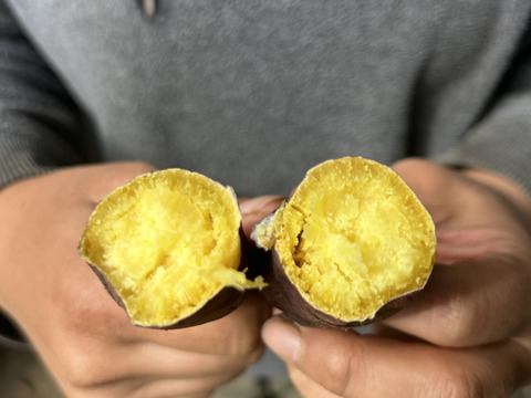 熊本県産オーガニックさつまいも【万能なホクホク系】（箱込み5kg）すずほっくり、グリル料理にも！
